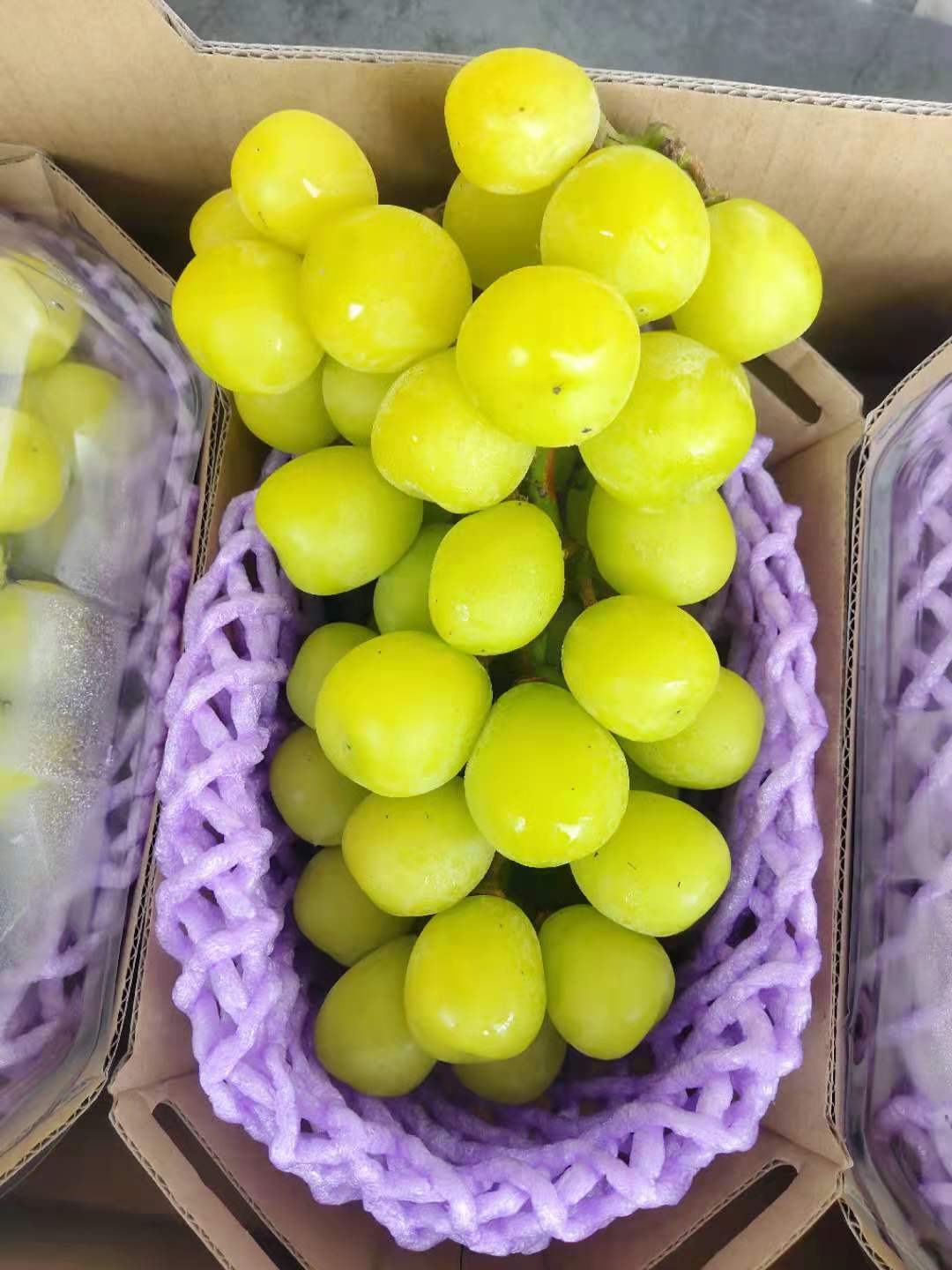 黄金香印晴王带着浓郁香气的晴王葡萄口感香甜果肉细腻果冻般口感皮薄