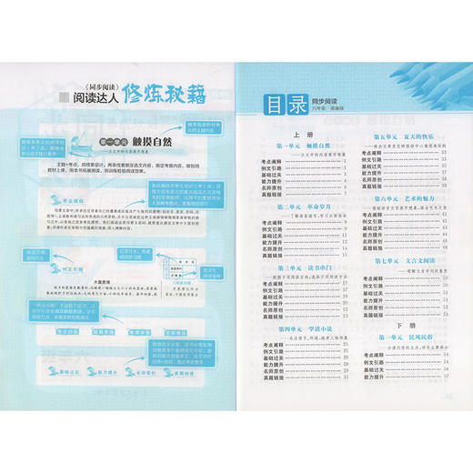 钟书金牌 同步阅读 六年级 配套部编版教材 著名作家安武林倾情 附赠同步基础知识手册 6年级同步阅读 上海大学出版社 商品图2