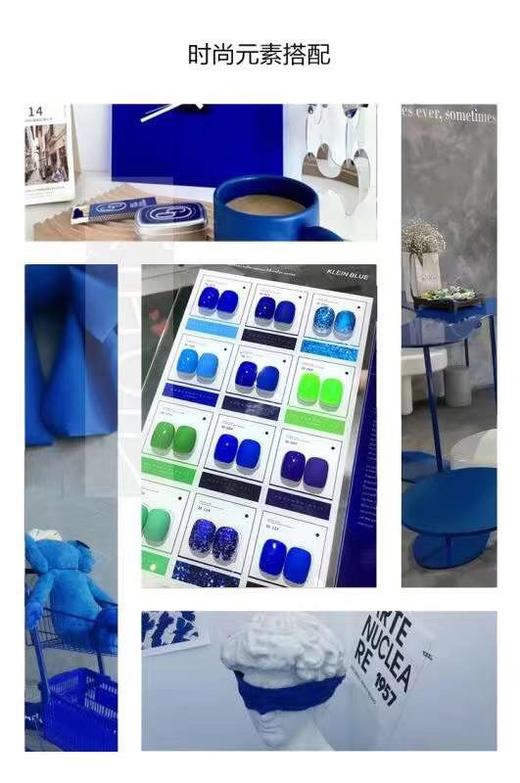 克莱因蓝系绝绝子12色套 商品图2