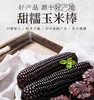 糯西西黑珍珠花青素黑玉米 商品缩略图2