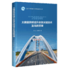 大跨度拱桥提升安装关键技术及风险管理 商品缩略图4