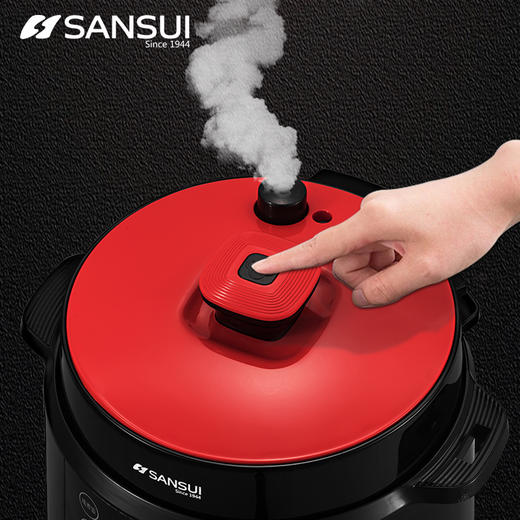 山水 智能球釜电压力锅LB-19D90F10 （SY-50D27）5L【CZ】 商品图2