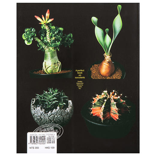 【中商原版】多肉植物的完美养成攻略 港台原版 鸖冈秀明 枫叶社文化 商品图1