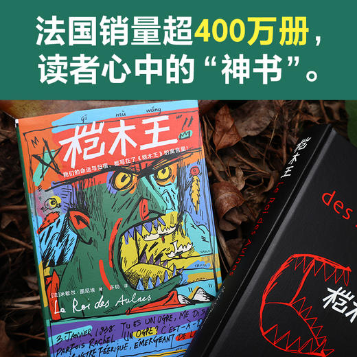 桤木王 商品图3