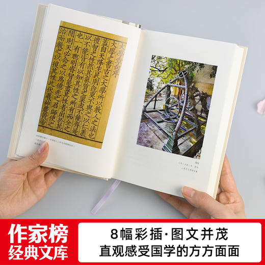 你一定爱读系列《中国史·国学常识》 商品图9
