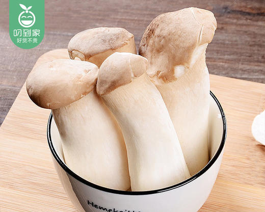 【叼鲜蔬】古田新鲜杏鲍菇/1份（约250g） 商品图3