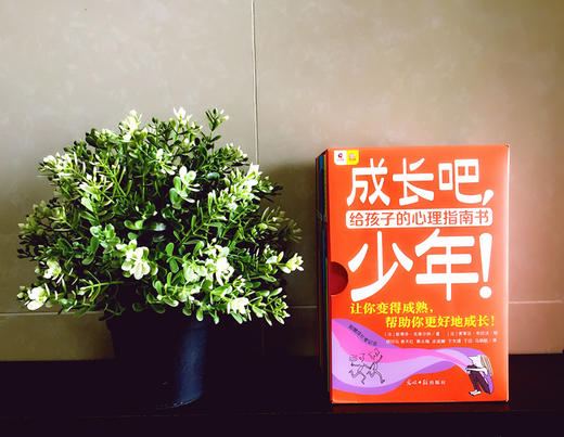 成长吧,少年!（全16册） 6-18岁  解决16个具体问题  给孩子的心理指南书 商品图6