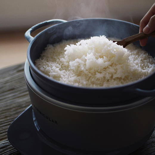 是电饭锅也是料理锅 日本Vermicular多功能电子铸铁锅 一键做出米其林料理 商品图4