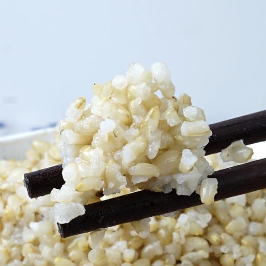 国家专利激发活性的发芽糙米 480g/盒*2盒 商品图3