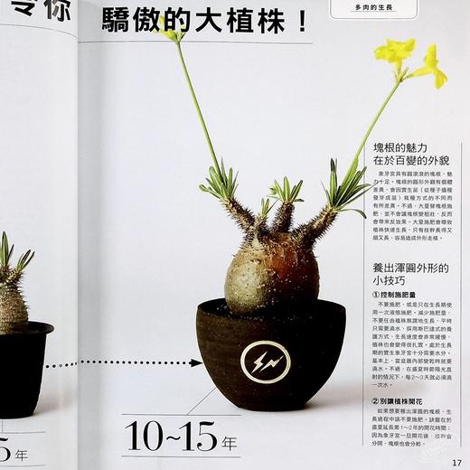 【中商原版】多肉植物的完美养成攻略 港台原版 鸖冈秀明 枫叶社文化 商品图5