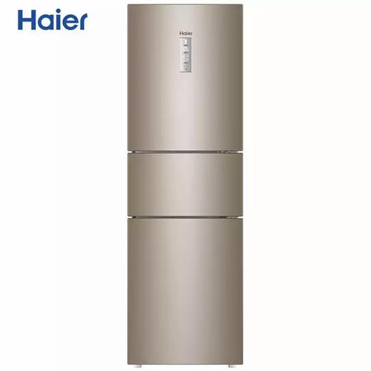 海尔（Haier）冰箱BCD-223WDPT 商品图0
