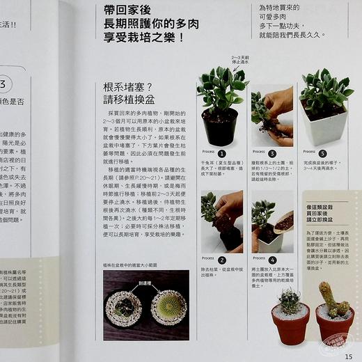 【中商原版】多肉植物的完美养成攻略 港台原版 鸖冈秀明 枫叶社文化 商品图4
