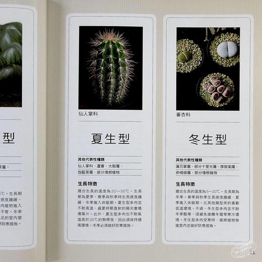 【中商原版】多肉植物的完美养成攻略 港台原版 鸖冈秀明 枫叶社文化 商品图7