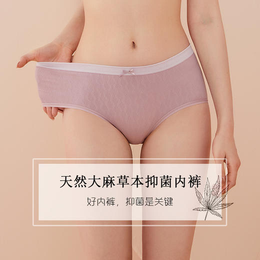 斑马秘蜜 天然大ma草本yuan菌内裤女款/男款四角内裤舒适内裤一个4条装 商品图1