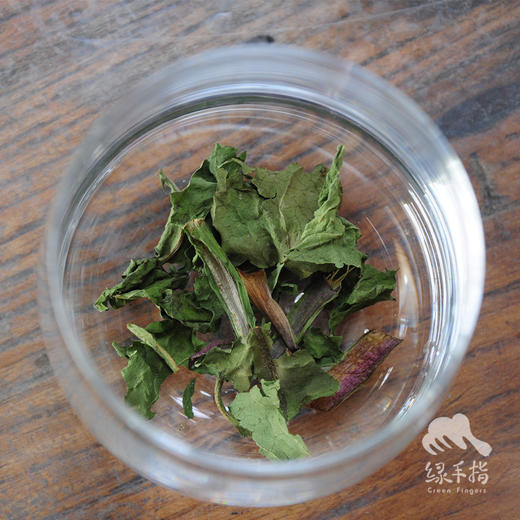 野生蒲公英 | 合作生产*Wild Dandelion | Coproducted 商品图3