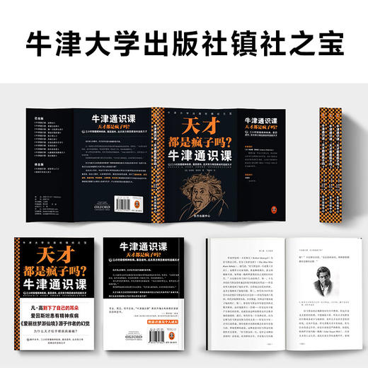 牛静通识课：天才都是疯子吗？ 商品图5