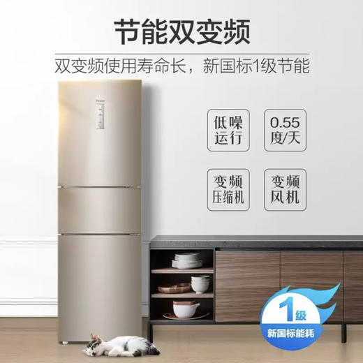 海尔（Haier）冰箱BCD-223WDPT 商品图5