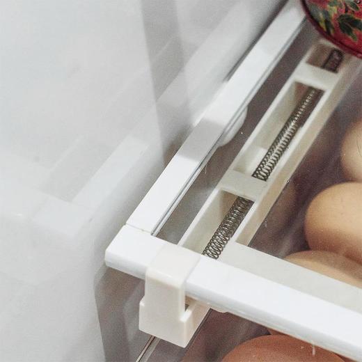 鸡蛋抽屉式收纳盒 I 冰箱保鲜果蔬鸡蛋整理收纳神器 商品图3