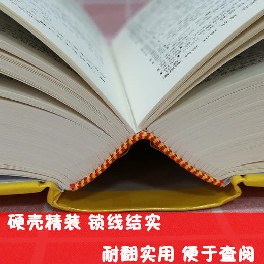 学生实用现代汉语词典 商品图1