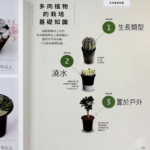 【中商原版】多肉植物的完美养成攻略 港台原版 鸖冈秀明 枫叶社文化 商品图6