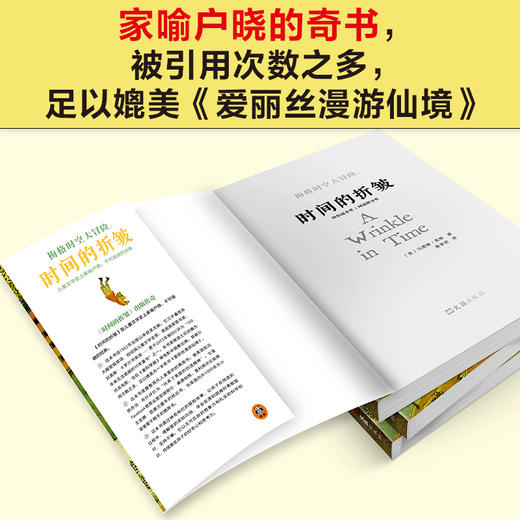 梅格时空大冒险：时间的褶皱+7-14岁（读客图书） 商品图9