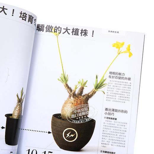 【中商原版】多肉植物的完美养成攻略 港台原版 鸖冈秀明 枫叶社文化 商品图3