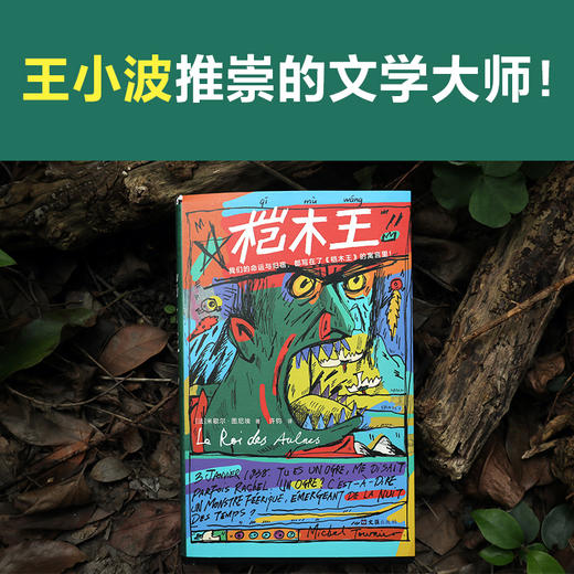 桤木王 商品图0