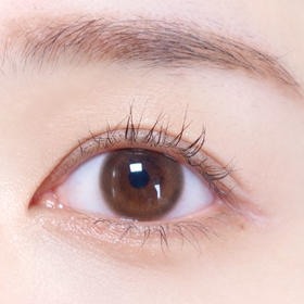 Bebebest 初恋眼（日抛）