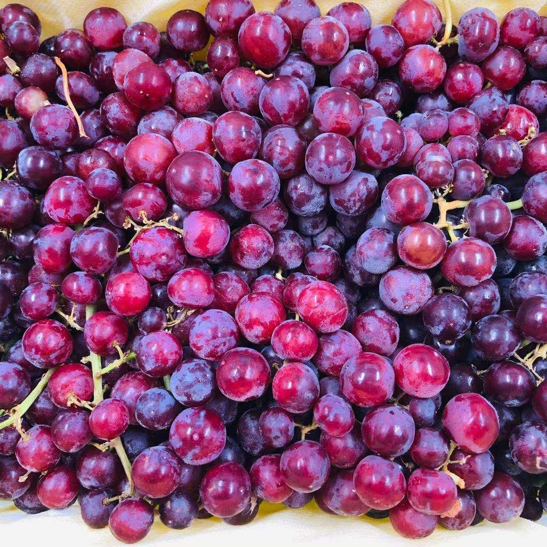 【超级特惠】新疆玻璃脆葡萄 整筐29.8/4斤
