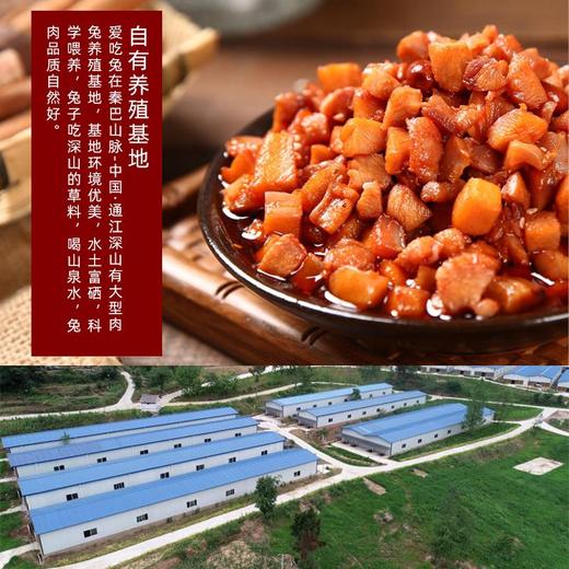 爱吃兔销魂兔丁60g 商品图3