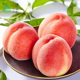 【深州水蜜桃.桃王】6头/箱/约4.2斤，精品大果