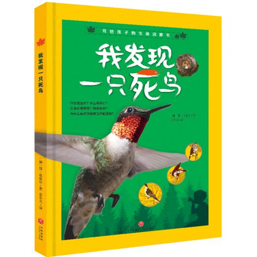 我发现一只死鸟 商品图0