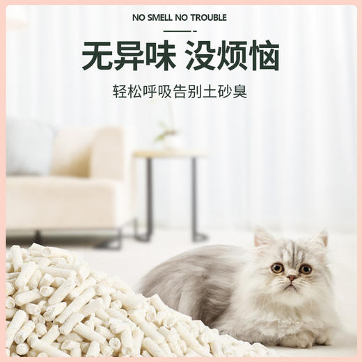 N1猫砂 豆腐猫砂 玉米 绿茶 活性炭 1.5mm/2.0mm 单包6.5kg/整箱3包 商品图8