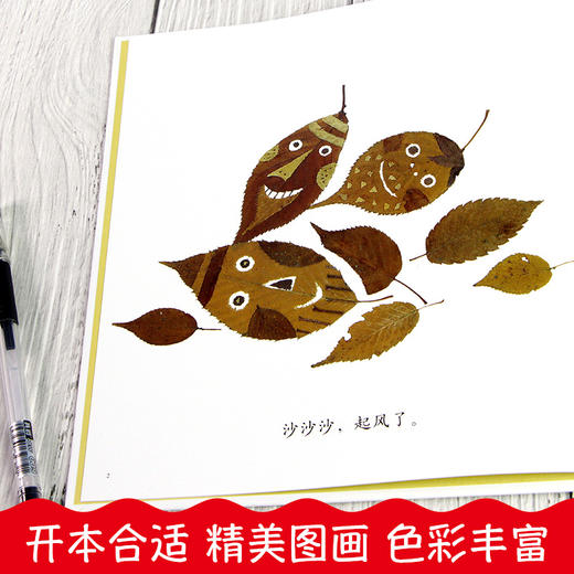 正版落叶跳舞一年级必读 精装硬壳版 儿童绘本故事亲子阅读幼儿园宝宝图画书早教启蒙蒲蒲兰0-1-2-3-4-5-6-8岁一二年级课外阅读 商品图2