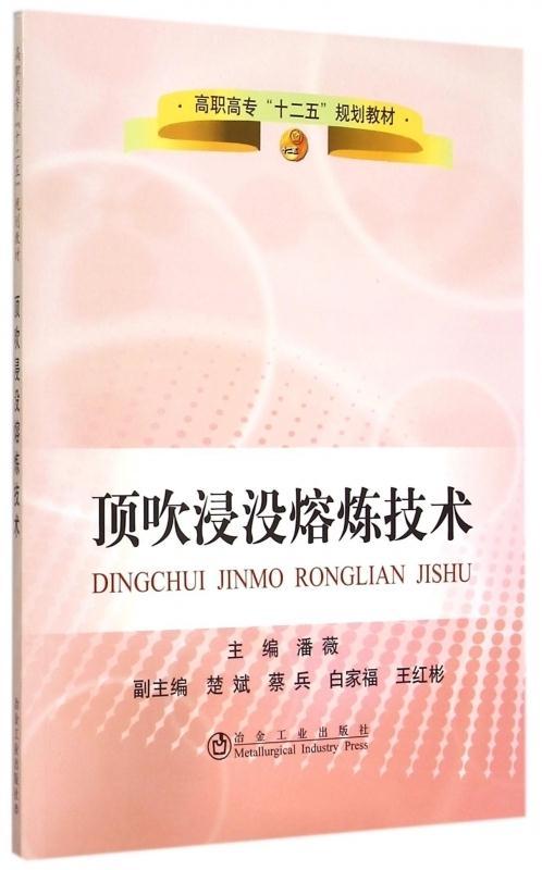 顶吹浸没熔炼技术/潘薇 商品图0