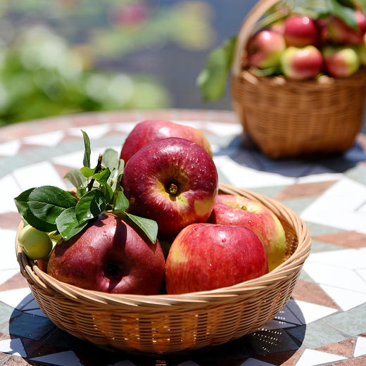 云野苹果-粉红女王 商品图2