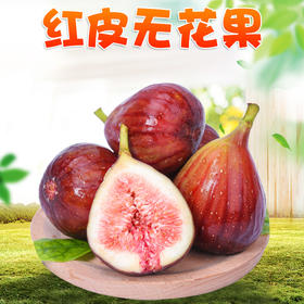 顺丰直邮 云南红皮精品无花果 现摘现发 新鲜当季水果