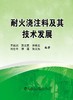 耐火浇注料及其技术发展/王诚训,贺文贵,宋希文,刘世年,侯谨,张义先 商品缩略图0