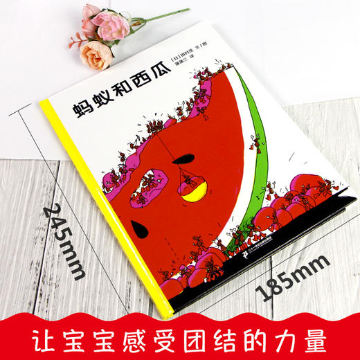 蚂蚁和西瓜 精装硬壳蒲蒲兰幼儿童绘本故事亲子阅读幼儿园老师推荐大班小班中班早教图画书0-2-3-4-5-6周岁宝宝睡前启蒙读物正版 商品图1