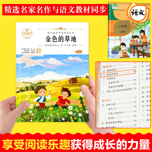 大林和小林宝葫芦的秘密张天翼 三年级必读的课外书全套上学期经典书目 小学生课外阅读书籍6-8岁儿童读物推荐绘本故事书 去年的树 商品图3