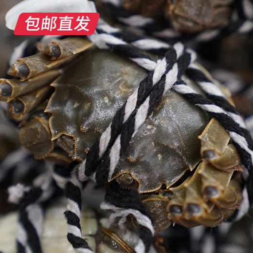 蟹老宋阳澄优礼298型大闸蟹券 （6只）包邮直发 商品图1