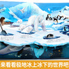 探秘海洋立体书3d揭秘系列儿童翻翻书6-8岁以上绘本故事书海底世界科普百科全书宝宝启蒙认知三地折叠书本幼儿园婴儿3岁情景体验 商品缩略图4