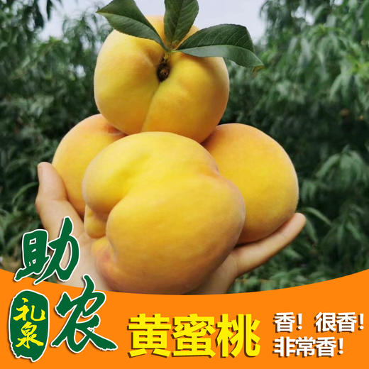 【陕西】黄蜜桃10斤（很香很好吃） 商品图0