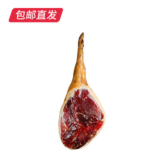 宣字三号整腿 8.5kg 包邮直发 商品图4