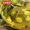 【和美共团圆】艾贝拉特级初榨橄榄油礼盒 500ml*2 包邮直发 商品缩略图1