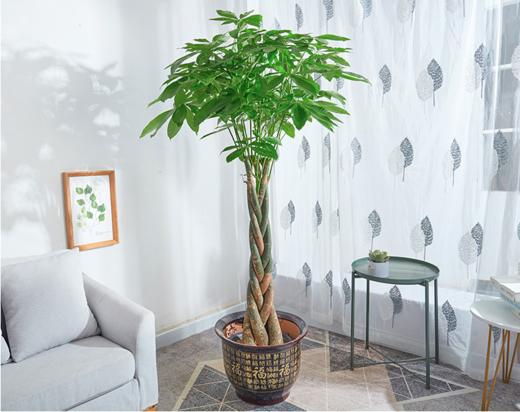 三层中式开业花蓝 商品图2