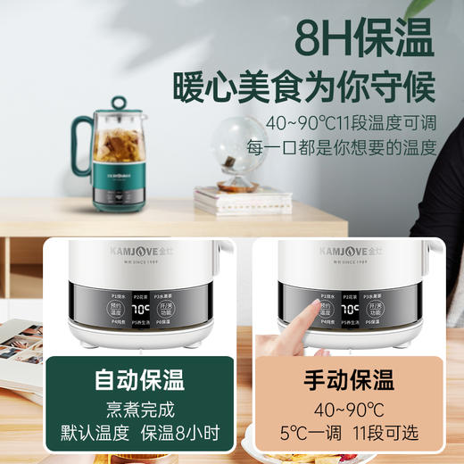 金灶多功能mini便携小型多功能养生壶0.6L（墨绿色）办公室个人煮茶壶HT-005 商品图1