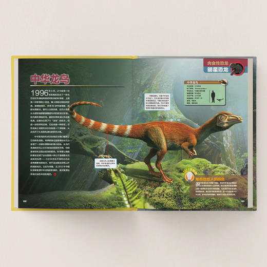 《中国恐龙百科》 商品图5