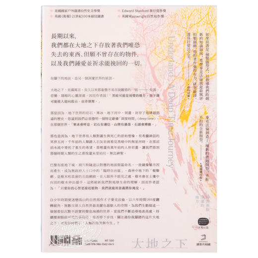 预售 【中商原版】大地之下 时间无限深邃的地方 Underland A Deep Time Journey 港台原版 Robert MacFarlane 大家出版 自然科普 商品图1