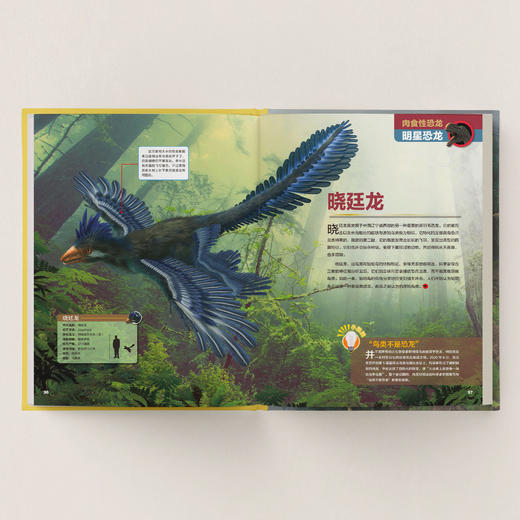 《中国恐龙百科》 商品图4